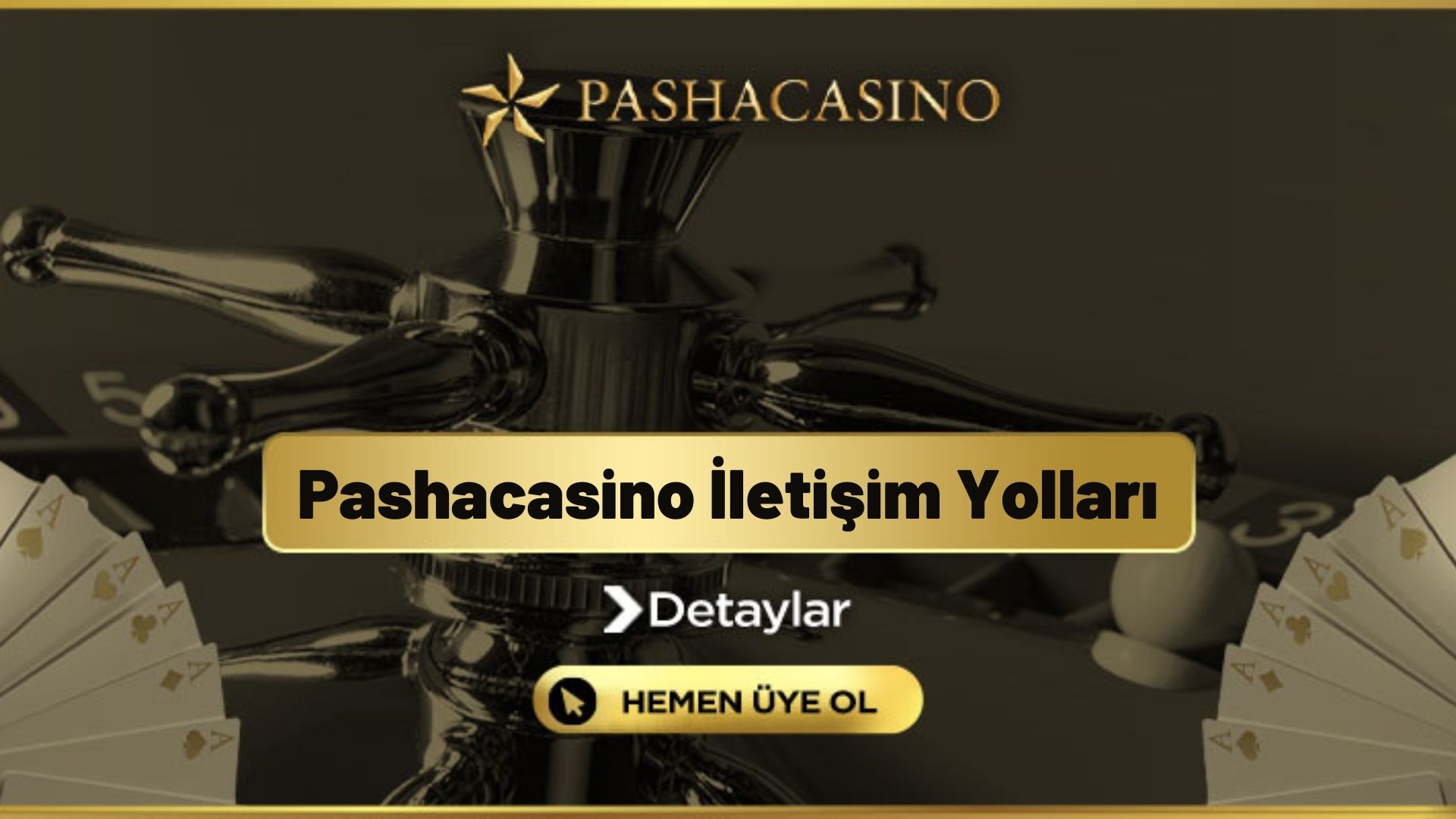 Pashacasino İletişim Yolları