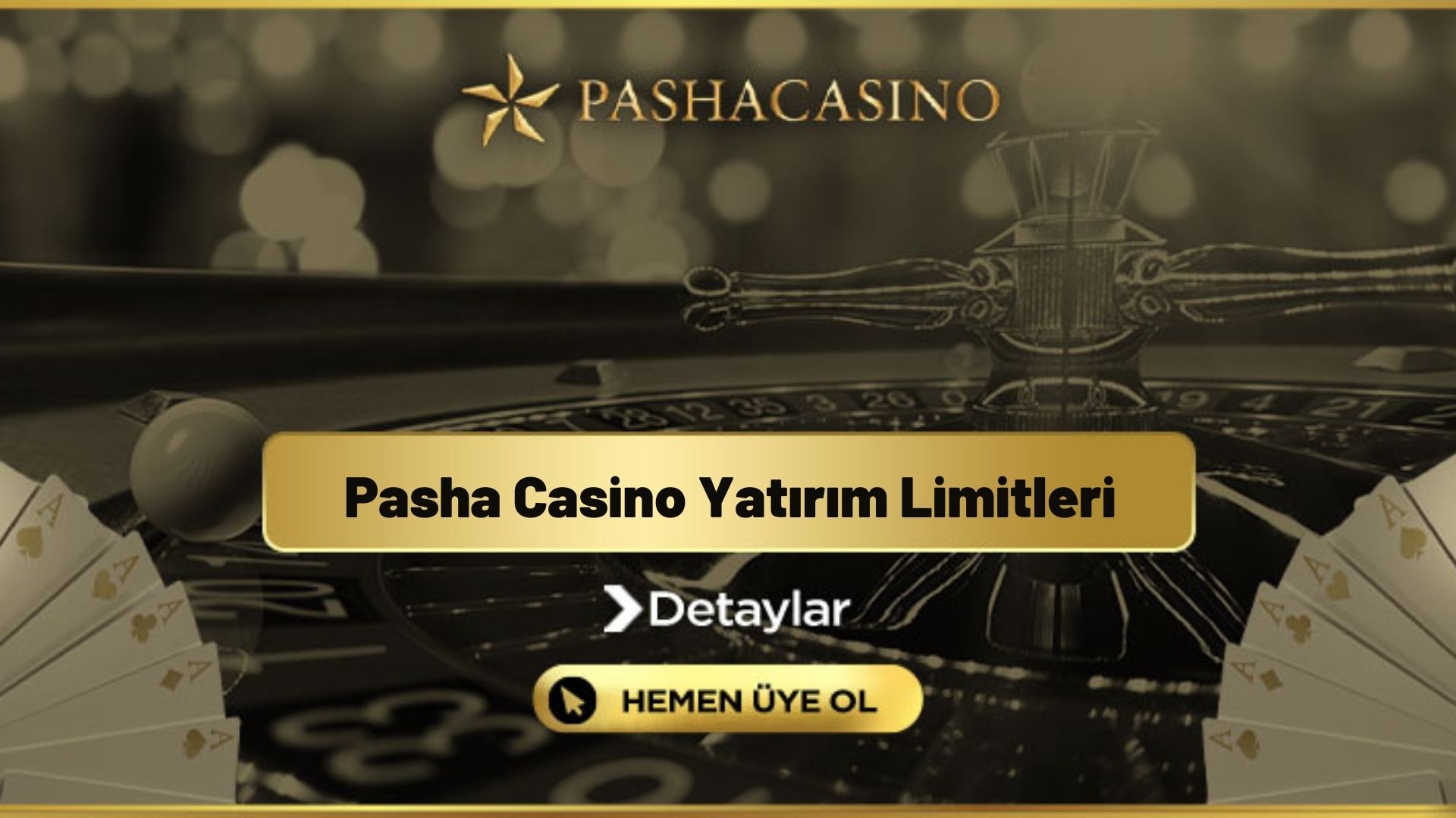 Pasha Casino Yatırım Limitleri