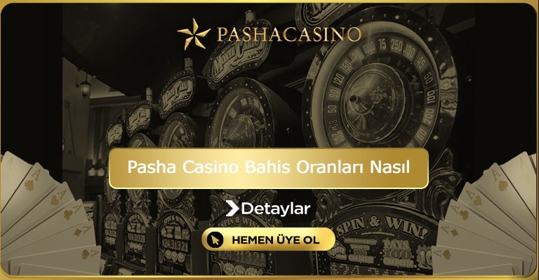 Pasha casino bahis oranları nasıl