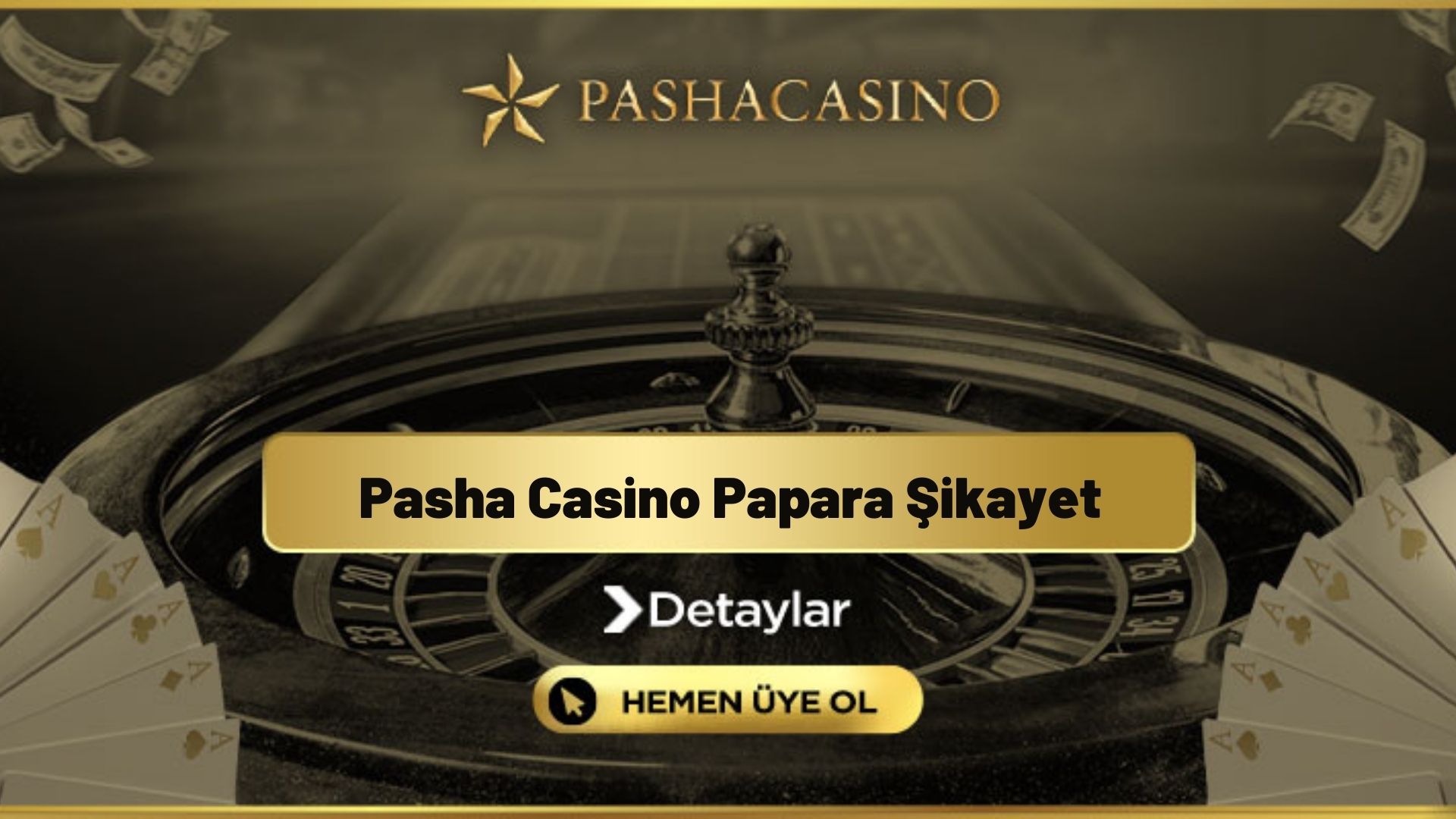 Pasha Casino Papara Şikayet