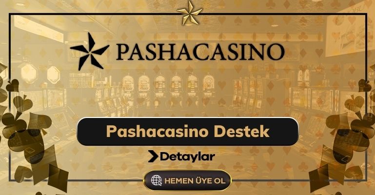 Pashacasino Destek